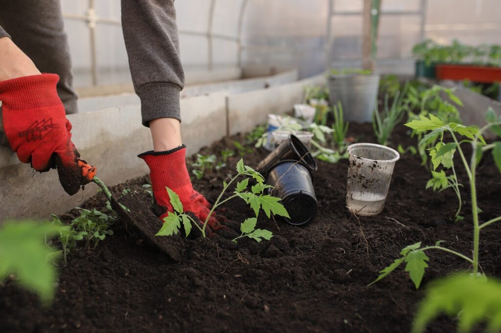 greenhouse, planting, spring-6226263.jpg